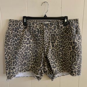 NEW Leopard Print Jean Shorts